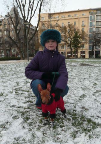 Cirneco Photo