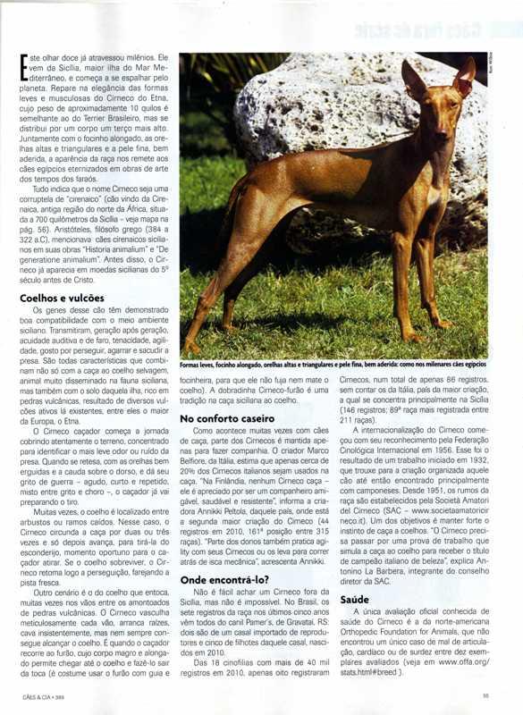 Cirneco Photo