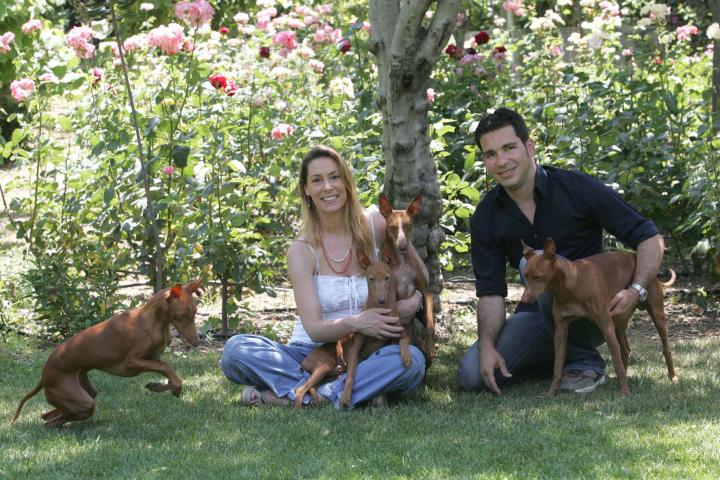 Cirneco Photo