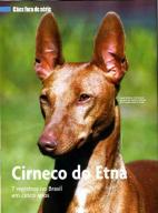 Cirneco Photo